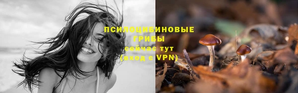 mix Верея