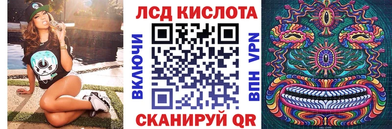 дарк нет состав  мега сайт  Наркотические марки 1500мкг  Новоржев  купить наркотики цена 