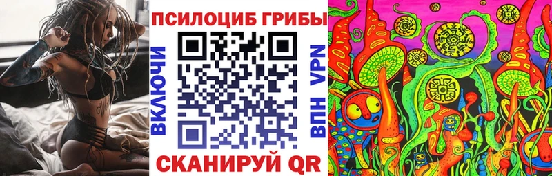 MEGA маркетплейс  мориарти Telegram  Новоржев  Псилоцибиновые грибы Psilocybine cubensis  где найти  